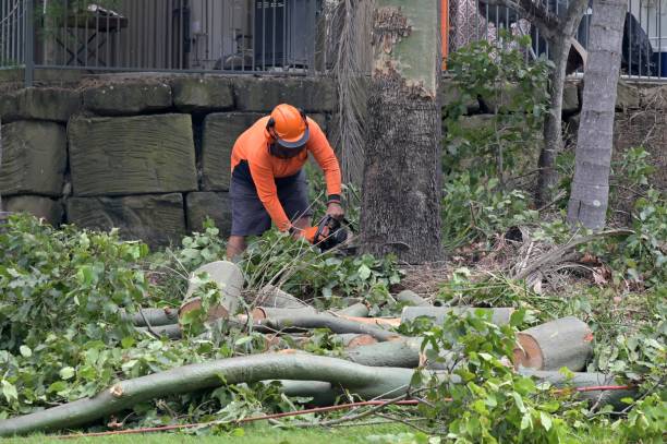 Best Emergency Tree Removal  in Summerville, GA